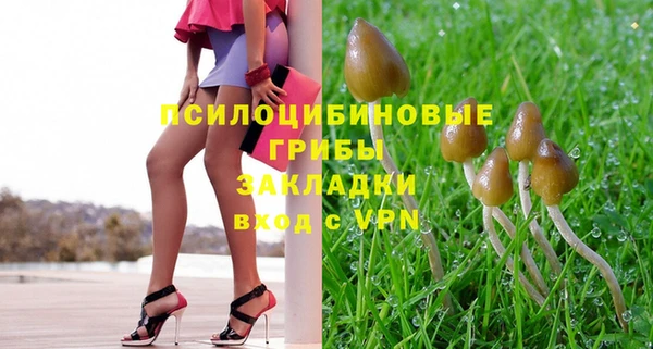 молекула духа Алзамай