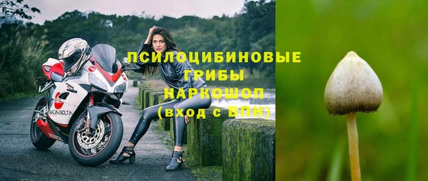 молекула духа Алзамай