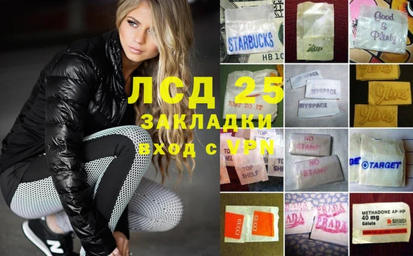 ПСИЛОЦИБИНОВЫЕ ГРИБЫ Алексин